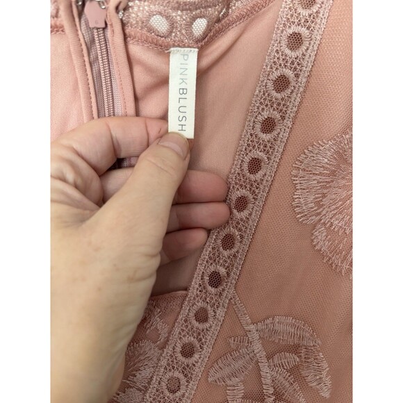 Pink Blush Sheer Embroidered Lace Mesh Rose Pink Maxi Dress 1X Plus, Coquette - Picture 4 of 8
